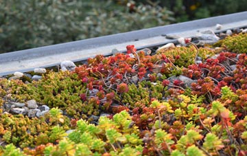 the cost of Newton On Rawcliffe green roof installation