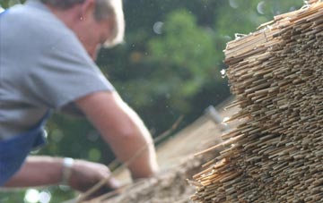 professional Newton On Rawcliffe thatchers