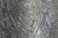 Newton On Rawcliffe fibreglass roof work